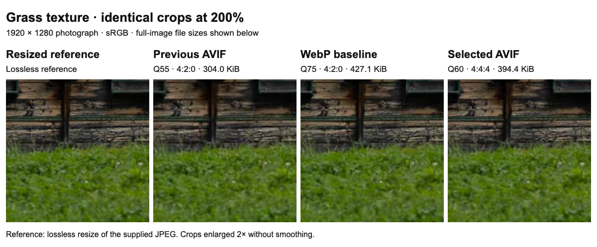 Grass texture at 200%: resized reference, previous AVIF quality 55, WebP quality 75 baseline, and selected AVIF quality 60 with full-resolution colour sampling.